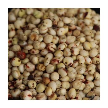 Bulk sorghum grains wholesale in 25kg and 50kg export bags - MASI TRADING GMBH - Germany