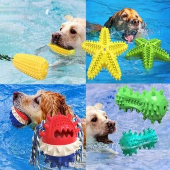 Wholesale New Explosive Toothbrush Grinding Stick Sound Leakage Food Dog Toys Dog Training Toys - Tianjin Maynas International Trade Co.,Ltd - China