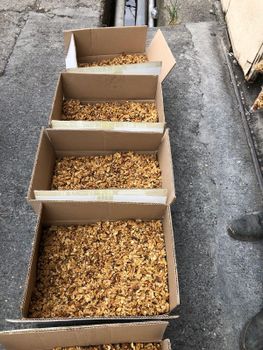 Natural Blanched Walnuts Shell Highest Grade Healthy Organic Kernels High Quality Dried Bulk 24-Month - PLANETE COMMERCE - France