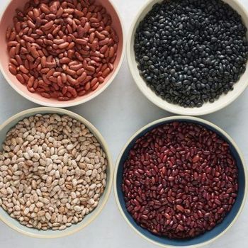 Pure Black Kidney Beans High Protein Whole Beans High Quality Cheap Bulk Wholesale Supply - A.C.P. AGRICULTURE COMPANY LIMITED - Thailand