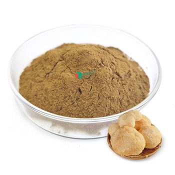 Wild Pure Natural Bulk Hericium erinaceus Extract Lions Mane Mushroom Extract 10% Polysaccharides Powder - Xi'an HerbSpirit Technology Co., Ltd. - China