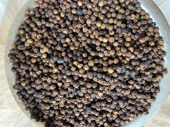 Black Pepper from CPK Spices Black Pepper - CPK Spices - India