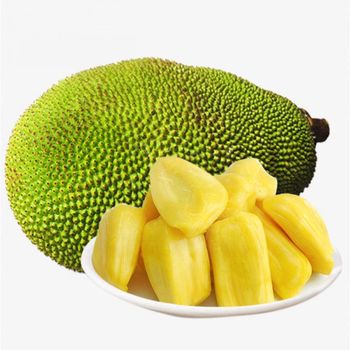 Fresh Jackfruit Export from Vietnam - 100% Organic High Quality (Certification: GAP, HACCP...) - NGAN HOA PHAT TRADING SERVICE COMPANY LIMITED - Vietnam
