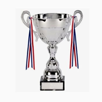 Wholesale Metal Gold Zinc Aluminum Alloy/Polyresin/Glass/Award, Soccer/Football/Golf/Basketball/Baseball/Cricket/Table/Tennis/Badminton 3D Custom Crystal Trophy - Dongguan AQ PINS&GIFTS CO.,LTD - China