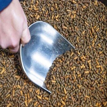 High Density Wood Pellets Perfect For Energy Efficient Heating Applications Cheap Price For Large Orders - Smart Agri GmbH - Germany