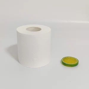 Best High Quality Lint Free Toilet Paper at Wholesale Price Style Roll Color White Weight 162g Disposable Yes Roll Height - Baoding Clean & Soft Paper Product Technology Co., Ltd. - China