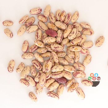 Wholesale 2023 china Light Speckled Kidney Beans / red sugar bean / Pinto bean - Hebei Nihewan Agricultural Development Co., Ltd. - China