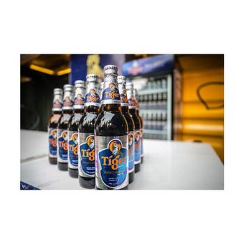 Tiger beer for sale in bulk at discounted wholesale prices great for bars restaurants and events - MT Trading GmbH - Germany