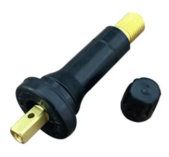 Tp-Ru-53 Natural Rubber Cover Brass Stem TPMS Valve Tire Pressure Monitoring System Valves T10 T1000 T2000 Sensor and Tools - XIANXIAN DEEP IMPORT AND EXPORT TRADING CO., LTD - China
