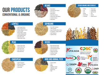 Canadian Pulses & Grains | Bulk Supply/10tons from Allthatnet Canadian Pulses & Grains | Bulk Supply/10tons - Allthatnet - South Korea