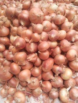 Fresh Egyptian onions – product photo, Fresh Baby Onions products found from trusted suppliers, wholesalers, manufacturers & exporters Listing