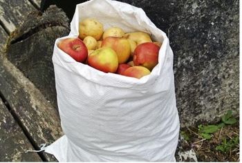 PP woven bags from Ms Tracy - Sacks & Big Bags-Vietnam PP woven bags - Ms Tracy - Sacks & Big Bags-Vietnam - Vietnam