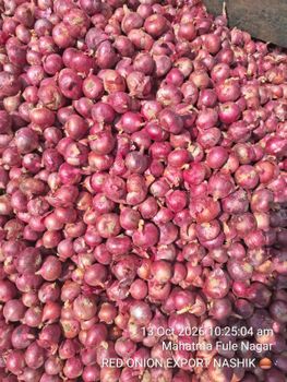 red onion, potato - Meet Biz hub LLP - India