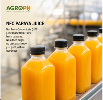 Papaya juice Origin Central America, Latin America, Other, Regional, Worldwide Product Type Beverages, Fruits & Vegetables, Other, Vegetarian & Vegan Products - AgroPn - Panama