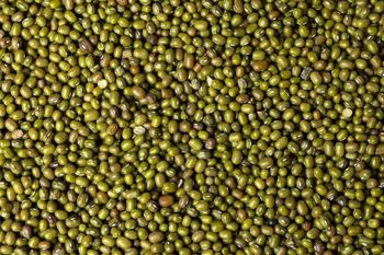 Green gram (mung beans) Origin Tanzania Features Non-GMO Product Type Legumes - Pamodzi (123) Agricom Limited - India