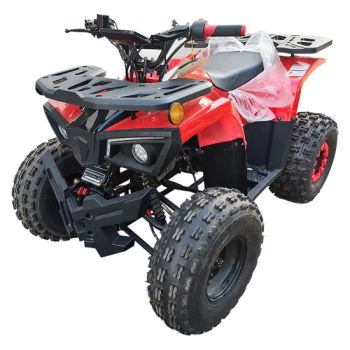 ATV Electric 4 Wheeler Other Motorcycles for Adults Electric Quad - Wuxi Jiama Intelligent Technology Co., Ltd. - China