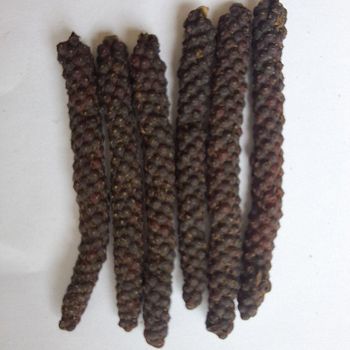 Sumatera Long pepper Packaging 25K Max. Moisture (%) 5% Moisture Content Max 5% Color Dark Brown To Black Flavor Profile Pungent Heat, Citrusy Notes, And Warm Spice - Nusanterra spice - Indonesia