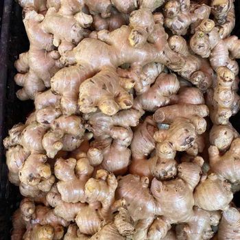 Fresh Ginger - PT SENOPATI MANUNGGAL GROUP - Indonesia