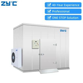 Refrigerated Cold Storage Freezer Room Cold Chamber Chambre Froide with Refrigeration Equipment - Quanzhou Zhiyun Refrigeration Equipment Co., Ltd. - China