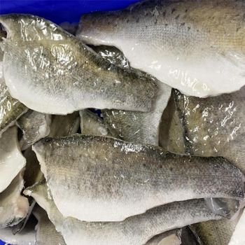 Frozen Sea Bass Fish White Meat Selection Processed Under Hygienic Conditions For Reliable Food Industry Demand - TOSOH INTERNATIONAL - South Africa