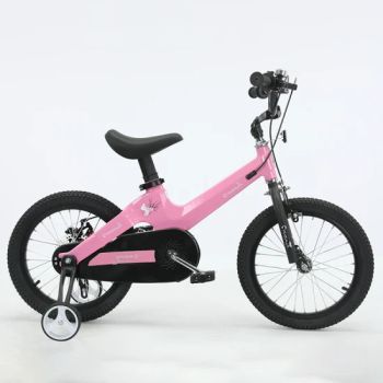 Magnesium Alloy 12-18 Inches Bicycle Balance Bike BMX - Guangzong Shuanglong Bicycle Industry Co., Ltd. - China
