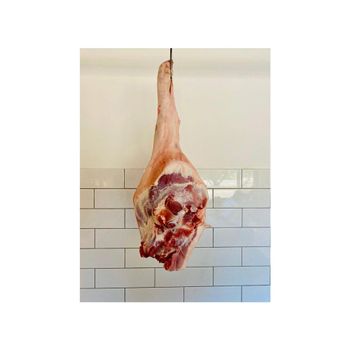 100% Preserved Frozen Pork Leg Bone Fresh Nature Frozen Pork Leg Bone Meat Color Clean - MT Trading GmbH - Germany