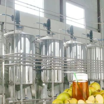High Efficiency Lemon Vinegar Processing Line Fruit Vinegar Making Machine Lemon Juice Vinegar Production Line - Antler Automation Equipment (Suzhou) Co., Ltd. - China