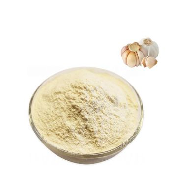 Wholesale Garlic Freeze Dried Powder Sustainably Grown Garlic Concentrate Powder Organic Garlic Powder - Xi'an Faitury Bio-Tech Co., Ltd. - China