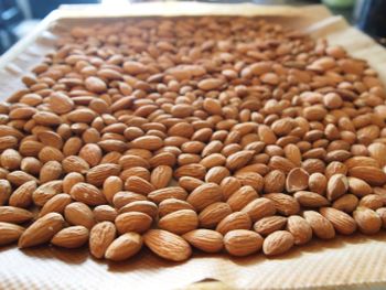 Raw Almonds Nuts from Thani Thai Co.,Ltd Raw Almonds Nuts - Thani Thai Co.,Ltd - Thailand