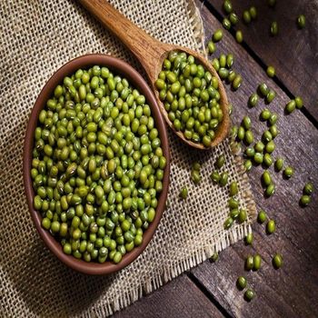Clean Green Mung Beans Whole Seeds Fresh Dried High Protein Suitable For Cooking Curry Soup Sprouts And Food Manufacturing Use Buy Today Fast Delivery Premium Quality Wholesale - wood traders - Poland