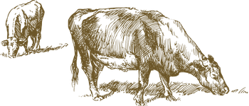 Product – product photo, Boneless Beef Heart products found from trusted suppliers, wholesalers, manufacturers & exporters Listing