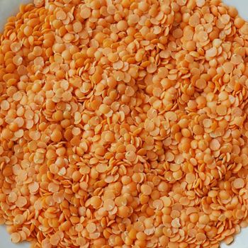 Export Quality Dried Red Lentils Whole Product Offering Cleaned Kernels And Flexible Packaging Formats - malter group - Tanzania