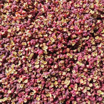 Wholesale Numbing Spicy Sichuan Pepper for Gourmet Cooking - Heze City Mudan District Shengxinyuan Food Co., Ltd. - China