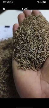 caraway seeds Packaging 25kg Place of Origin - Khirat Baladna KB for import & export - Egypt