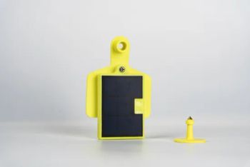 Solar Powered 4G Cow and Sheep Animal Ear Tag GPS Tracker for Cattle Plastic Tracking Device - Xuzhou Dragon Guard Industrial Co., Ltd. - China