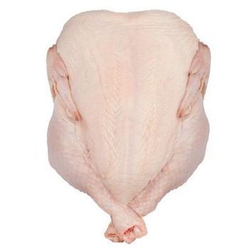 High Quality Frozen Whole Chicken and Chicken Paws Grade AA Fat Content low Brand Name custom Cut whole chicken Max. Moisture (%) 3 - MT Trading GmbH - Germany