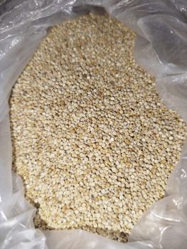 Raw Quinoa Quinoa Grains Quinoa seeds Unpeeled Quinoa Unwashed Quinoa from Haseeb & Sons Raw Quinoa Quinoa Grains Quinoa seeds Unpeeled Quinoa Unwashed Quinoa - Haseeb & Sons - Pakistan
