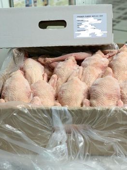 Frozen Naked Whole Hens - Phoenix GI - Poland