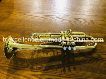 Chinese Factory Wood Wind Instruments Student Trumpet Yellow Brass (ASTR-060) - Beijing Excellence Musical Instruments Co., Ltd. - China