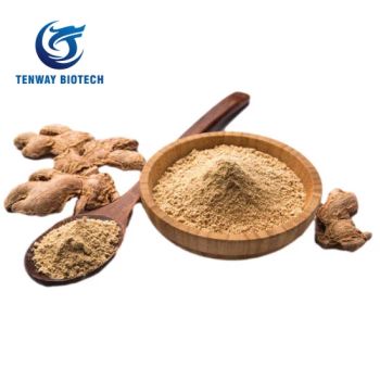 No GMO Food Ingredient Dehydrated Ginger Flakes Ginger Granule Ginger Powder for Seasoning Flavor - Hangzhou Tenway Biotechnology Co., Ltd. - China