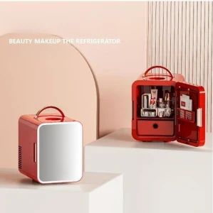 Hot Sale Portable and Fashionable Design Car Beauty Mini Fridge Refrigerator - Good Seller Co., Ltd - China