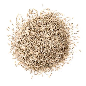 Premium Cumin Seeds Natural Cumin Spice For Wholesale Supply High Quality Fresh Bulk Cumin With Rich Aroma 100% - THE GREEN INTERNATIONAL LIMITED - Tanzania