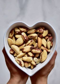 Natural Roasted Brazil Nuts Freshly Prepared Premium Snack Excellent Quality Wholesale Pricing For For Sale - CPW TRADE LTD - United Kingdom