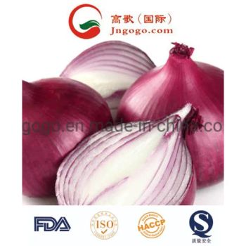 New Crop Export Good Quality Chinese Red Onion Color Red Shape Oval Type Whole Trademark GOGO Size 3.0cm and up HS Code - Jinan Gogo International Trade Co., Ltd. - China