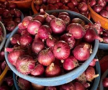 Onions Origin kenya - Roxpo exports@gmailcom - Kenya
