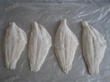 Frozen IQF Channel Catfish Fillets Origin China - Jingzhou Baiyang Food Co., Ltd. - China