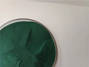 Sulfur Based 24-26% Basic Chromium Sulphate for Tanning Purity ≤30% Color Green Sample Free Origin Gansu Reach Available - Gansu Jinshi Chemical Co., Ltd. - China