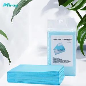 Incontinence Nursing Under Pads Heavy Duty Underwear Adults Disposable Pads 60 X 90 Cm Underpad Sheet Bed Pads - Shandong Miray Co., Ltd. - China