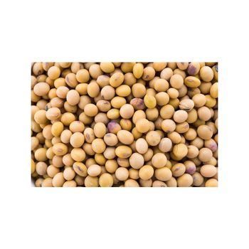 Wholesale price offered for soybeans for food processing companies and livestock farms - MASI TRADING GMBH - Germany