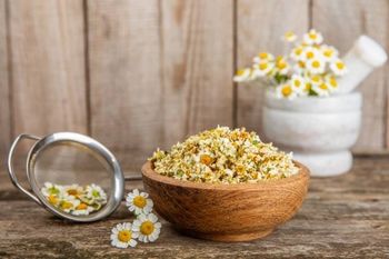 Dried chamomile from Green Alliance Company Dried chamomile - Green Alliance Company - Egypt